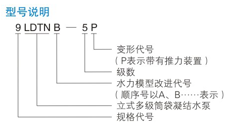 LDTN型凝亚洲AV蜜桃破处